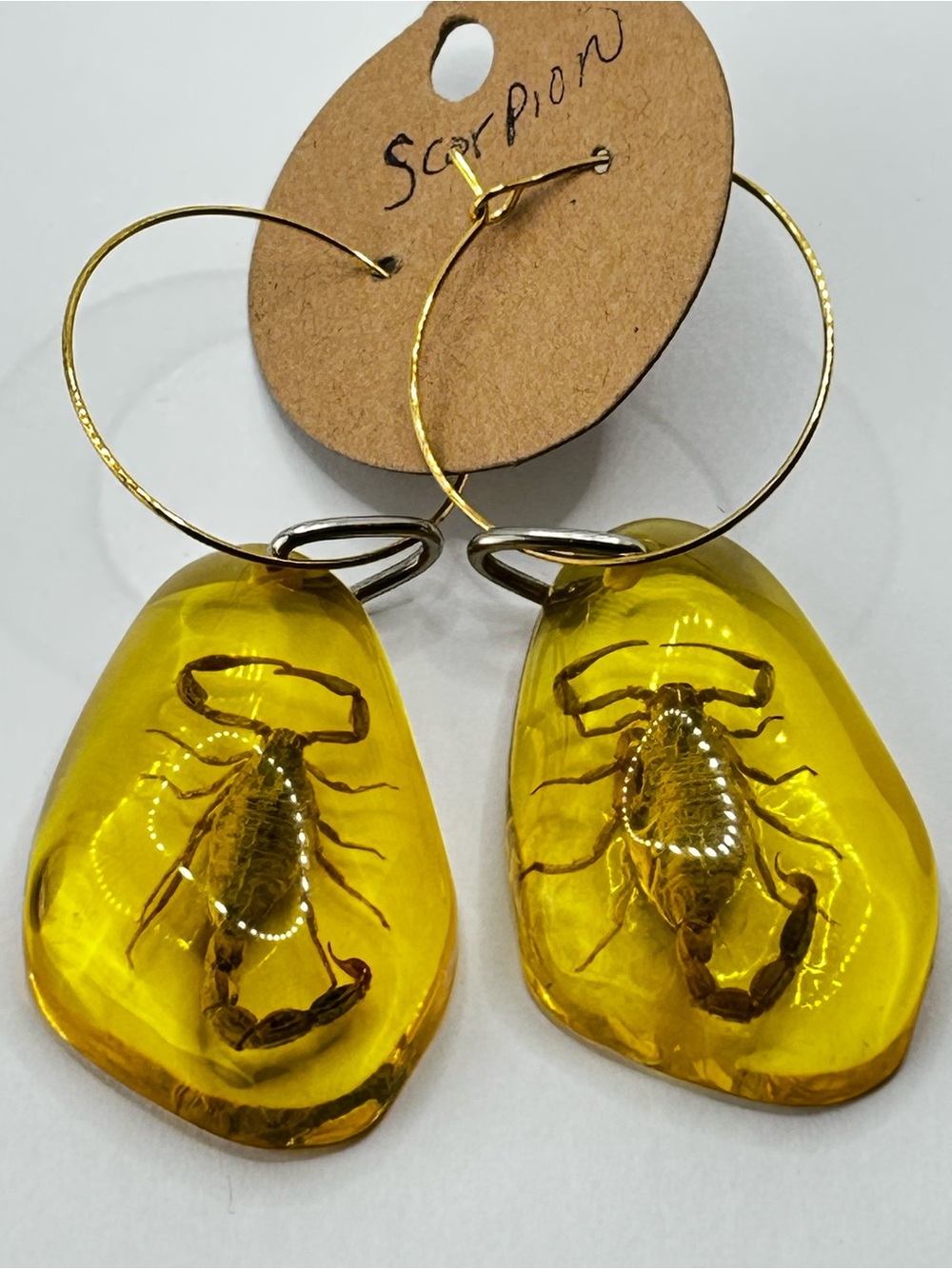 Real Scorpion Hoop Earrings - Yellow Resin Drop